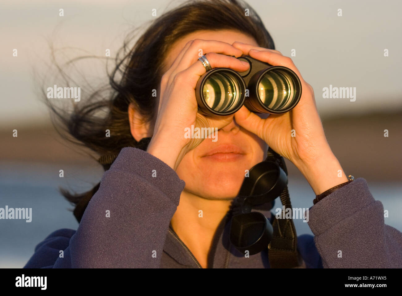 Woman bird watcher with binoculars on Moray Firth Scotland Stock Photo