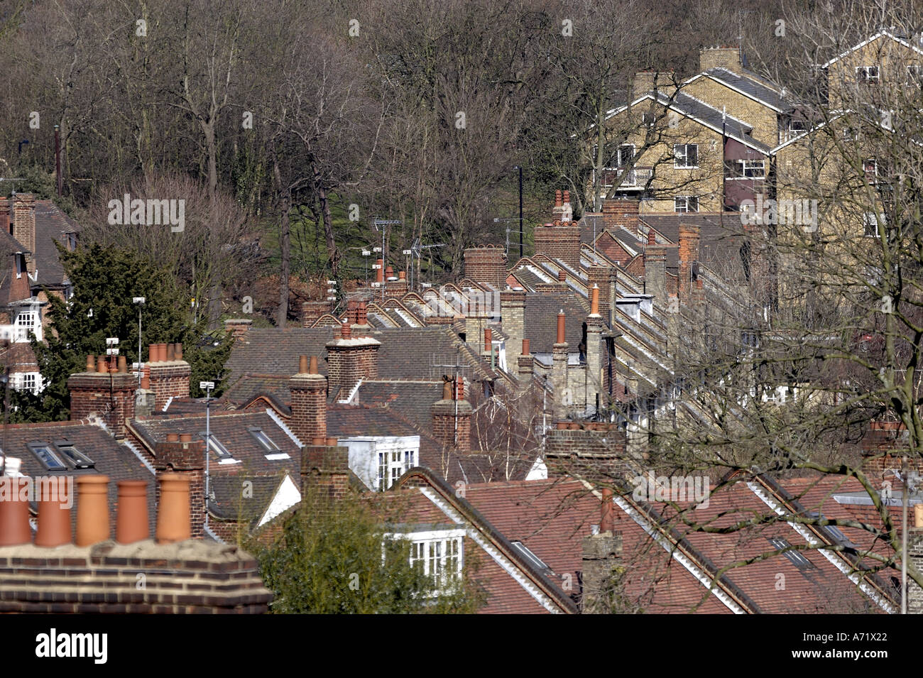 Rooftops and suburban houses on hills in Muswell Hill London N10 England Stock Photo