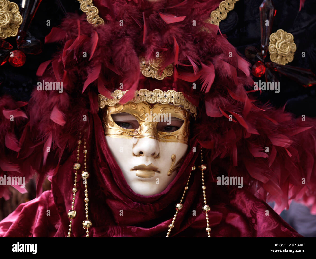 Venice carnival mask with purple feathers Stock Photo - Alamy