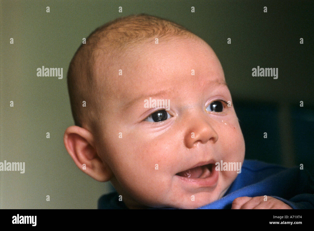 Boy Male Blue Tee Shirt Short Hair Youngster Stock Photos Boy