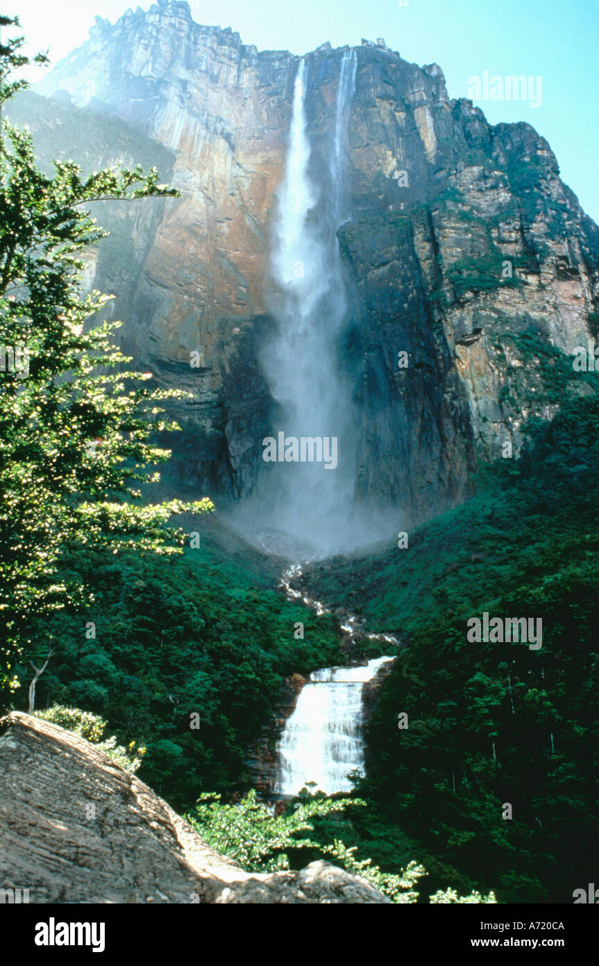 Angel Falls at Auyantepui table mountain is the highest waterfall in
