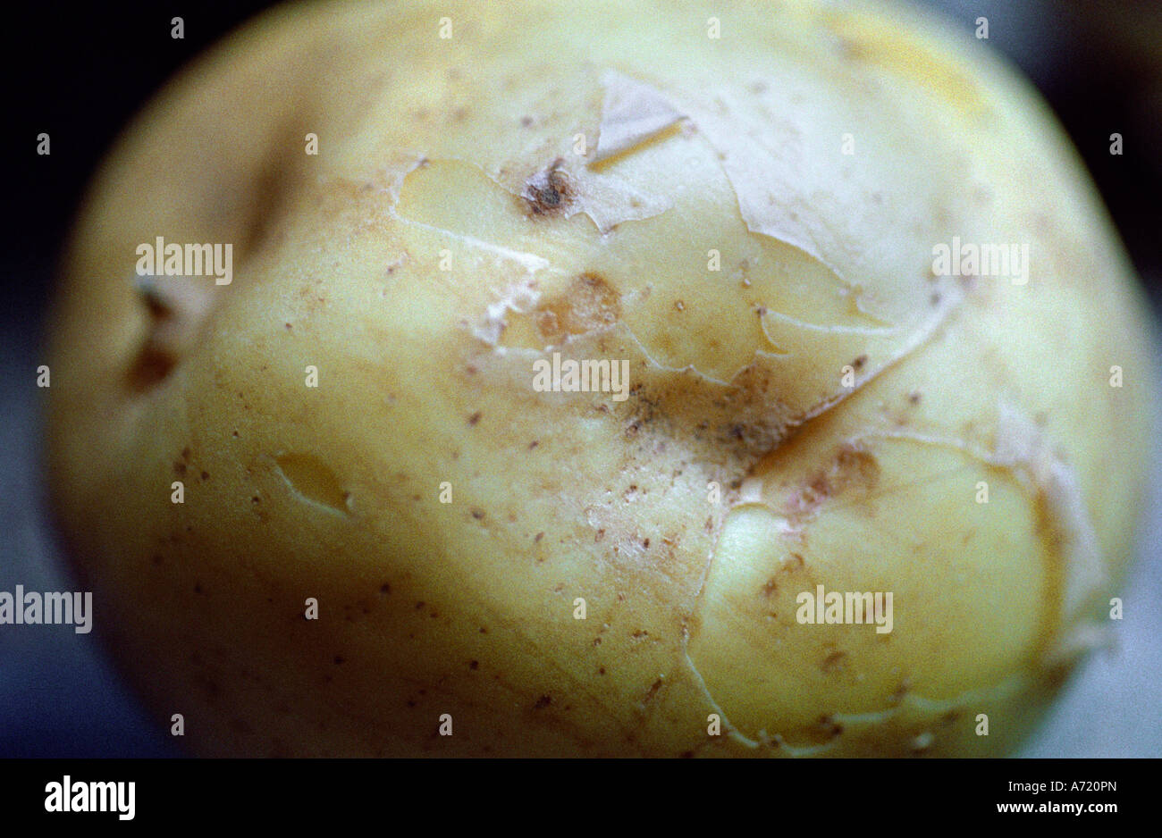 potato skin on the outside Stock Photo Alamy