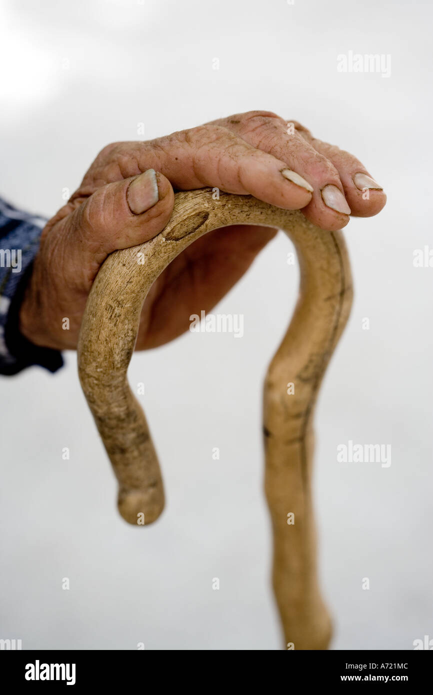 Close up of an elderly mountain shepherd s hand resting on a walking stick Crete Stock Photo