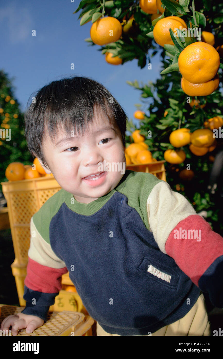 Portrait of a boy standing under orange tree Stock Photo Alamy