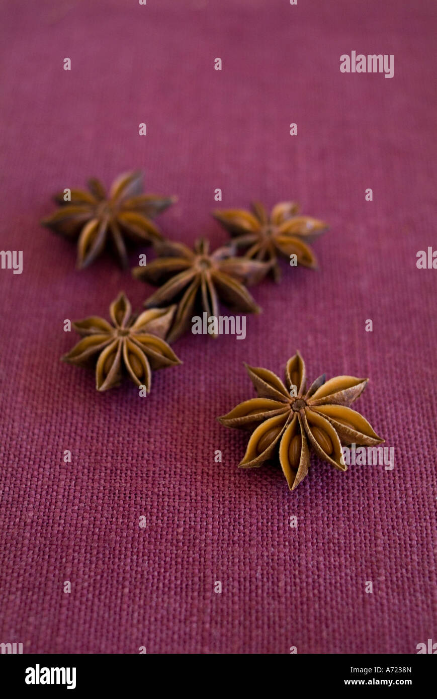 Star Anise Stock Photo