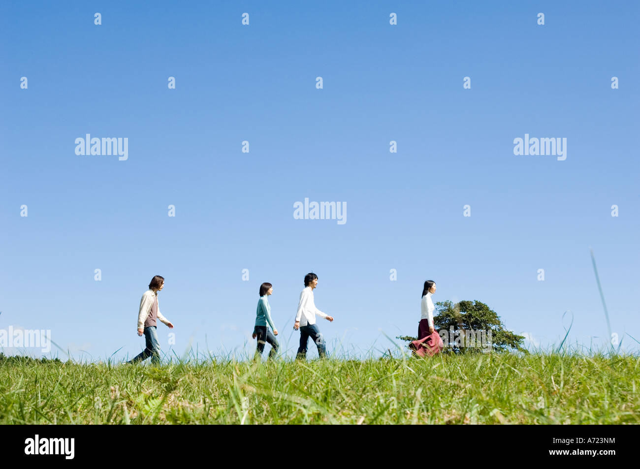 Four young people walking in field Stock Photo - Alamy