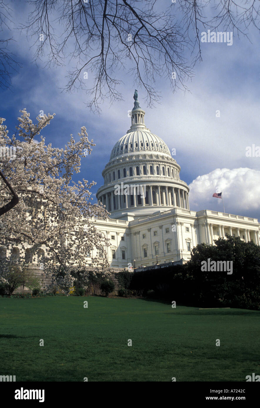 Columbia pictures liberty hi-res stock photography and images - Alamy