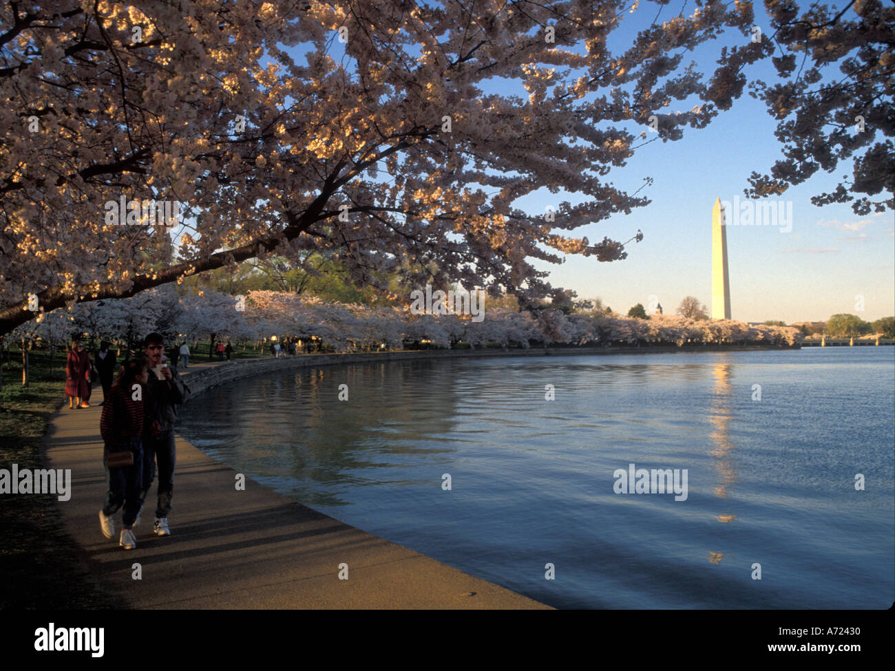 Washington dc tidal basin photos hires stock photography and images