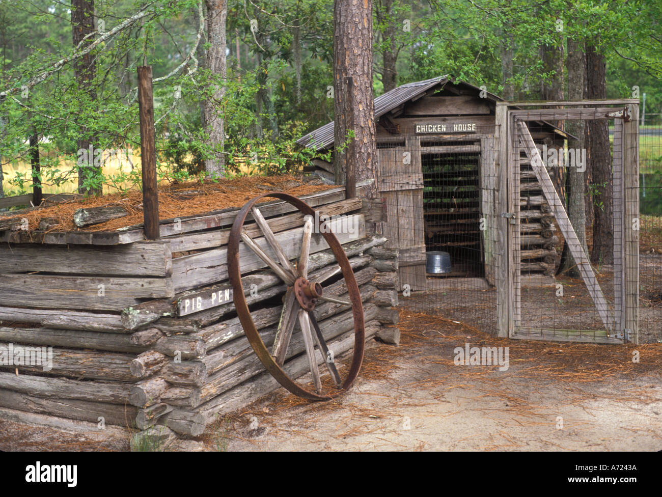 Okefenokee Swamp Park Georgia Stock Photos Okefenokee Swamp