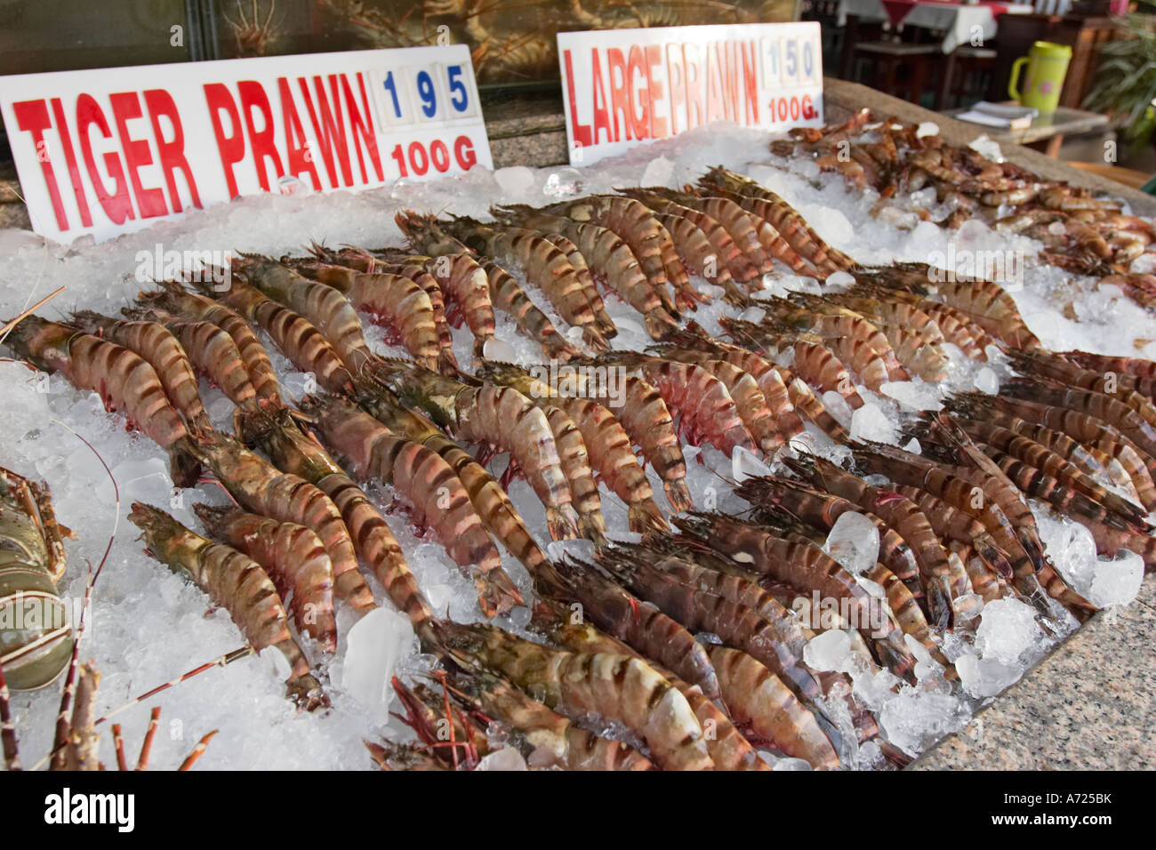 Tiger prawns on display in a seafood restaurant. Patong. Phuket Stock