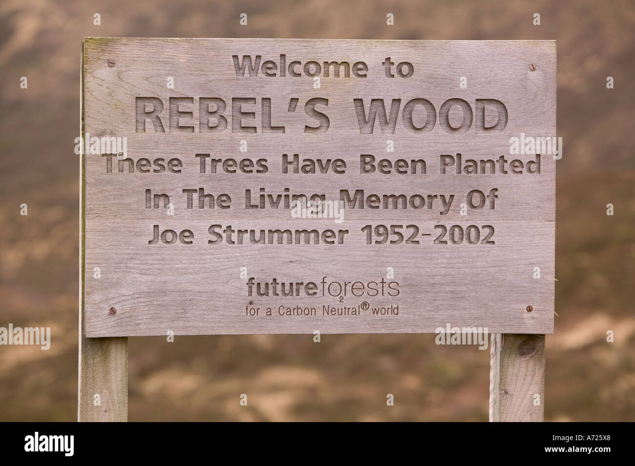 Rebels wood on the Isle of Skye, Scotland, planted in memory of Joe Strummer from the Clash, for a carbon neutral world Stock Photo