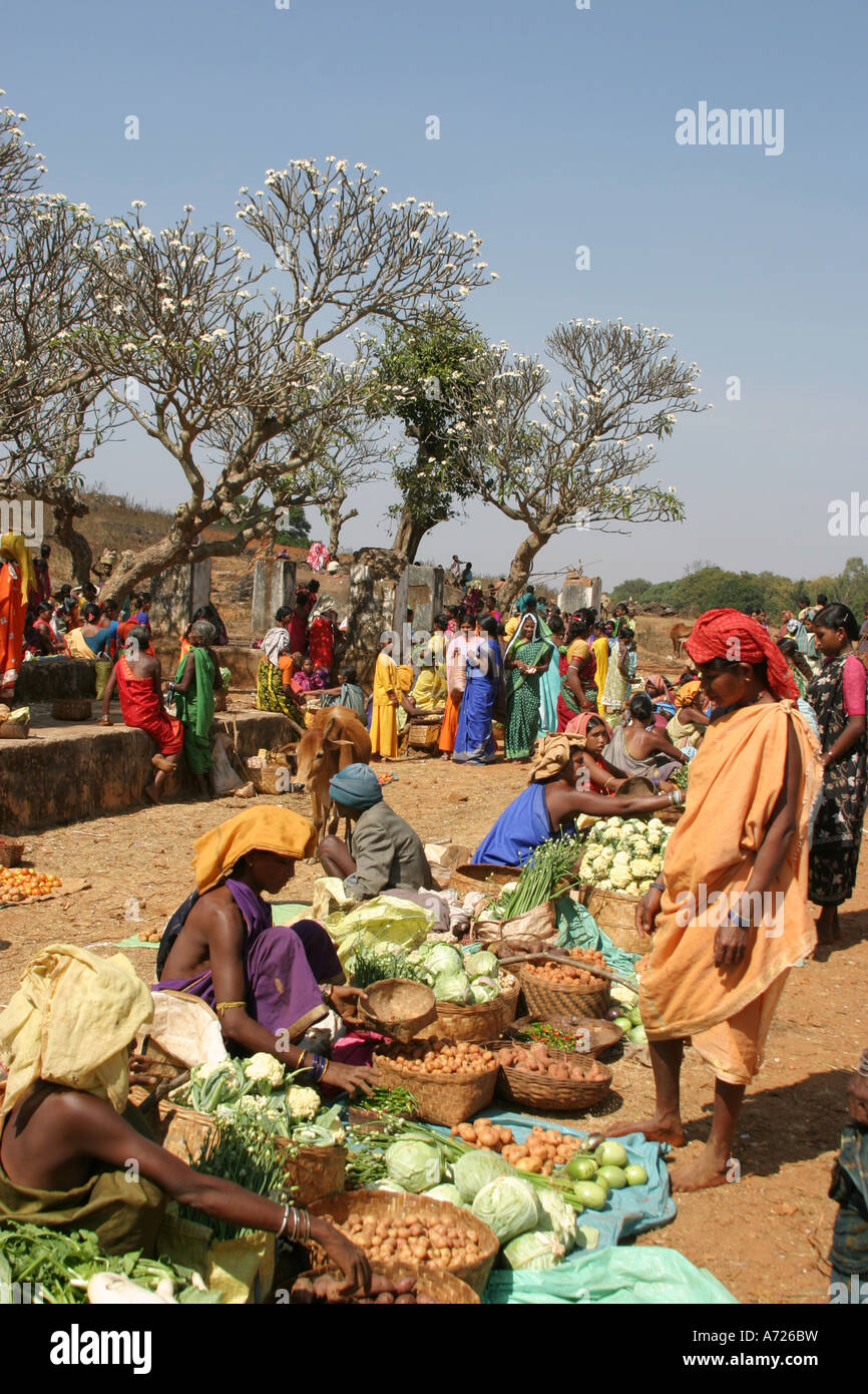 Frangipani trees form an exotic background to the colourful Desia ,Paraja and Mali tribal women's weekly barter market Orissa Stock Photo