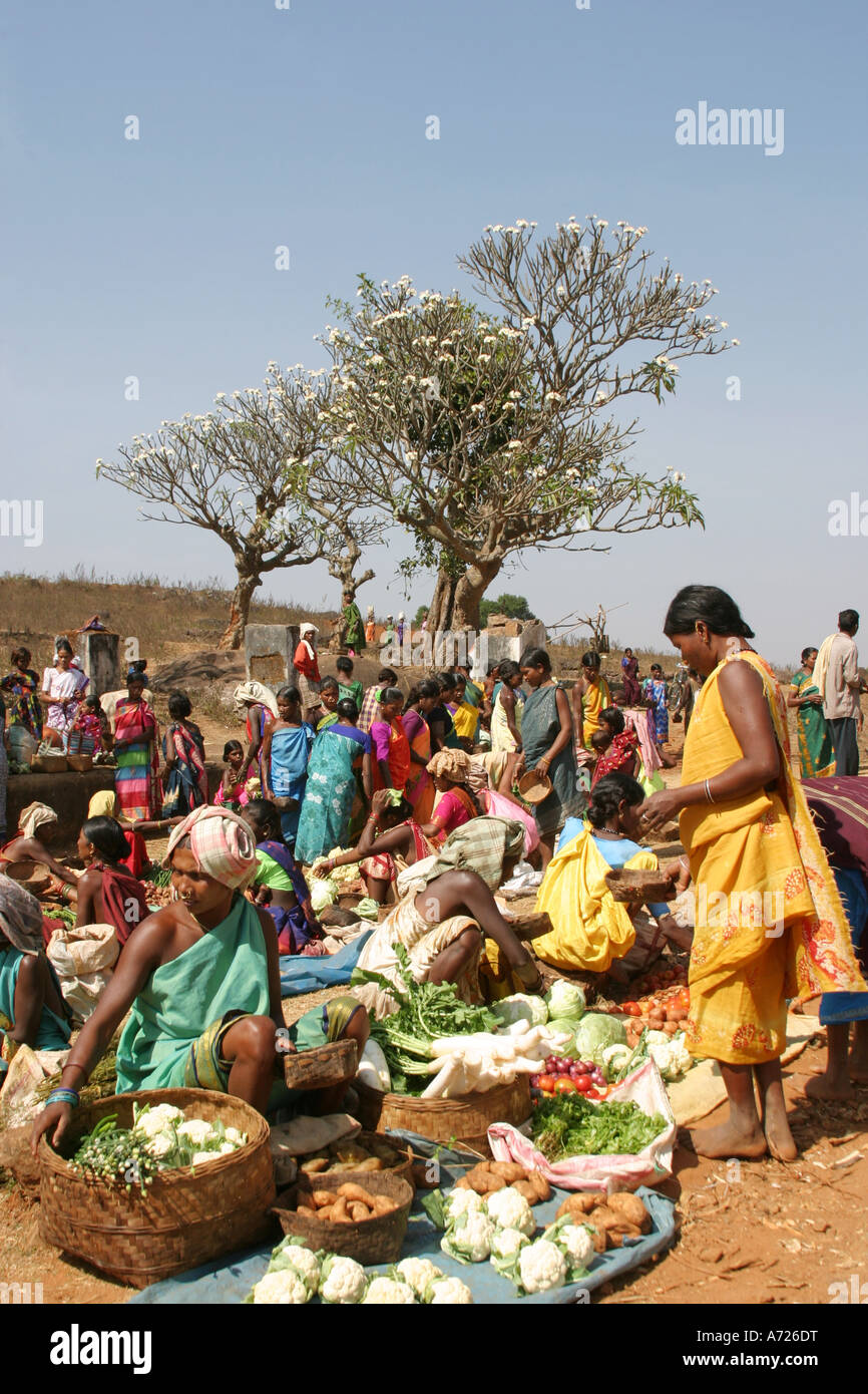 Frangipani trees form an exotic background to the colourful Desia ,Paraja and Mali tribal women's weekly barter market Orissa Stock Photo