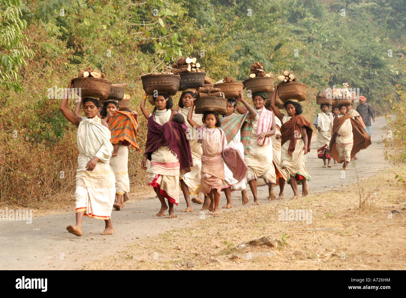 Dongria Kondh  tribal women carrying their  goods to the weekly market, Orissa India Stock Photo