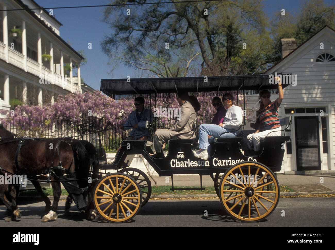 Charleston horse buggy hires stock photography and images Alamy