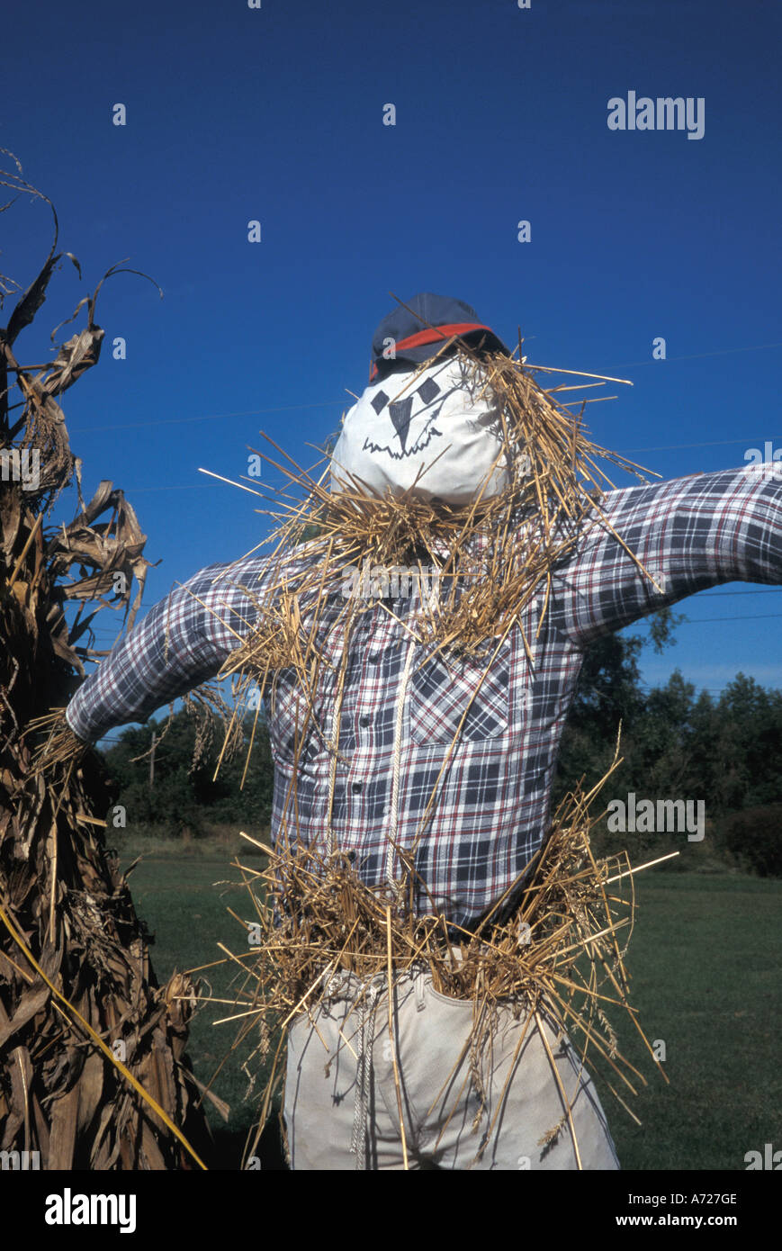 Halloween Fall Color autumn scarecrow straw man Stock Photo - Alamy