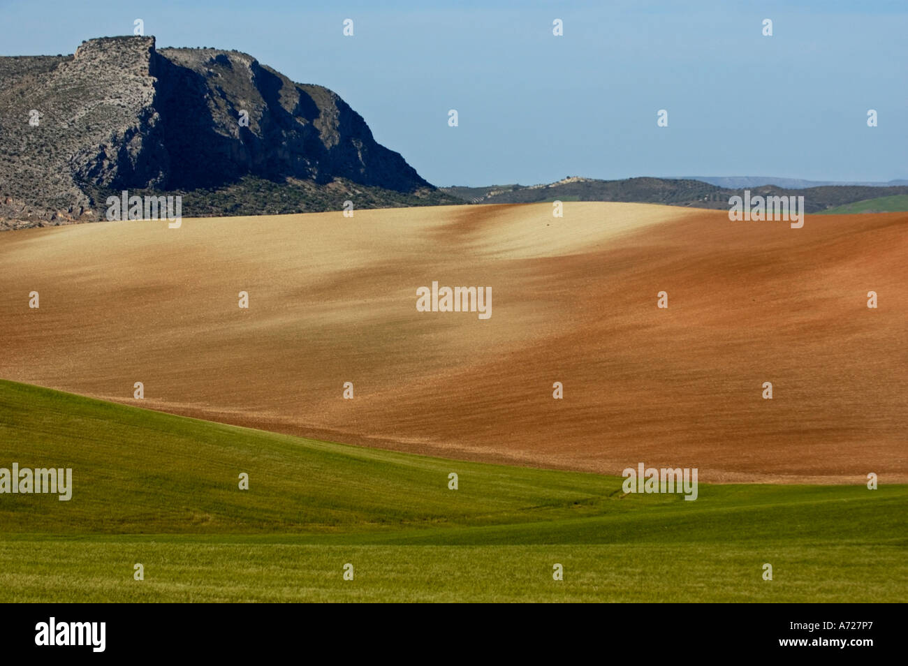 Landscape near Ronda, Andalucia, Spain. Stock Photo