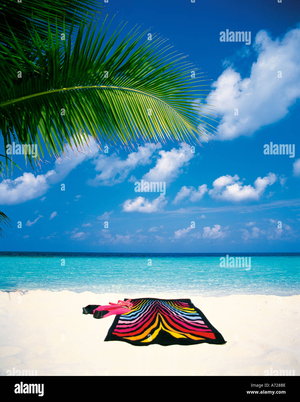 Beach scene with palm trees on the Maldive Islands Indian Ocean Stock ...