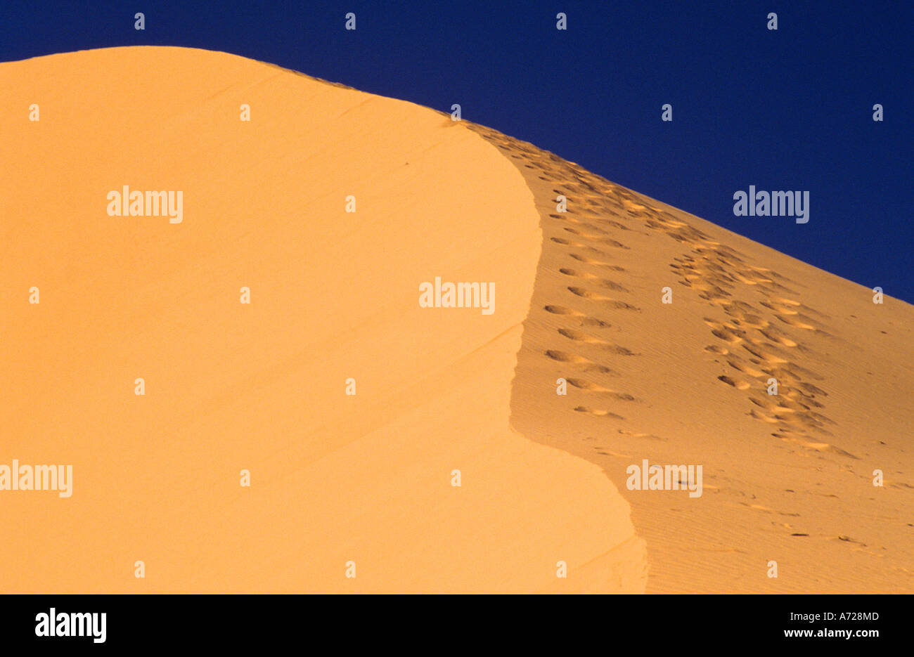 Sand dune Stock Photo