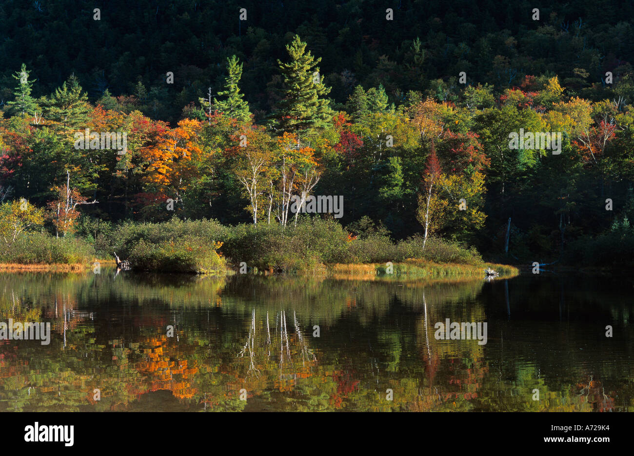 Willey Pond Stock Photos & Willey Pond Stock Images - Alamy