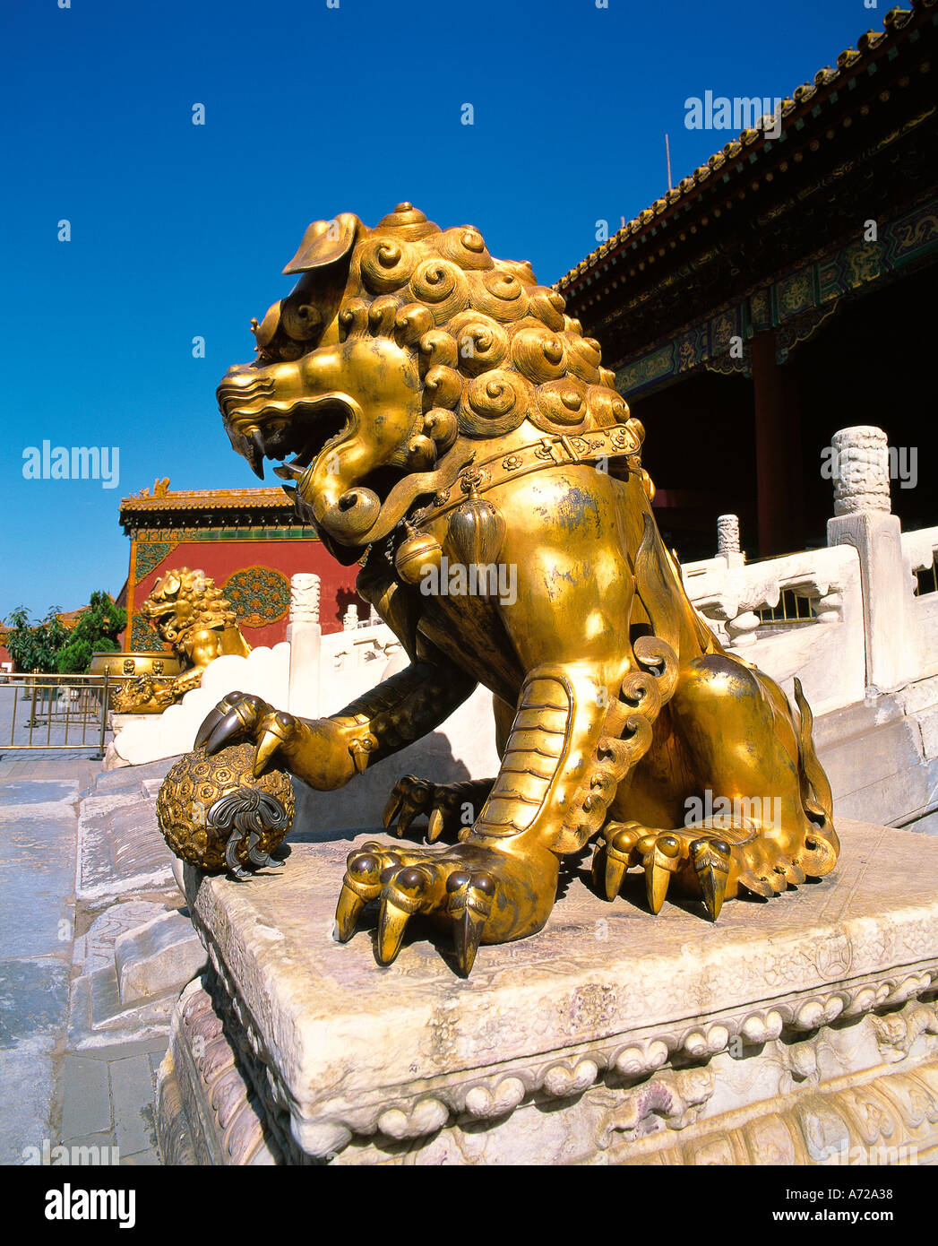 golden-lions-hi-res-stock-photography-and-images-alamy
