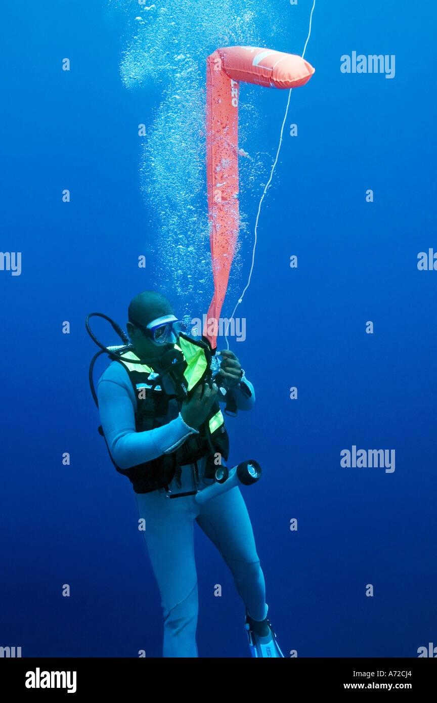 scubadiver inflating a marker buoy Stock Photo