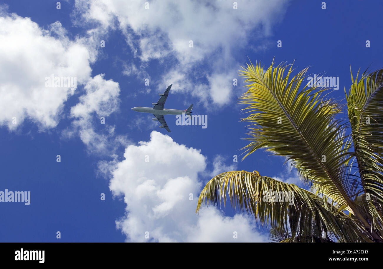 passenger airplane flying over palm tree Stock Photo