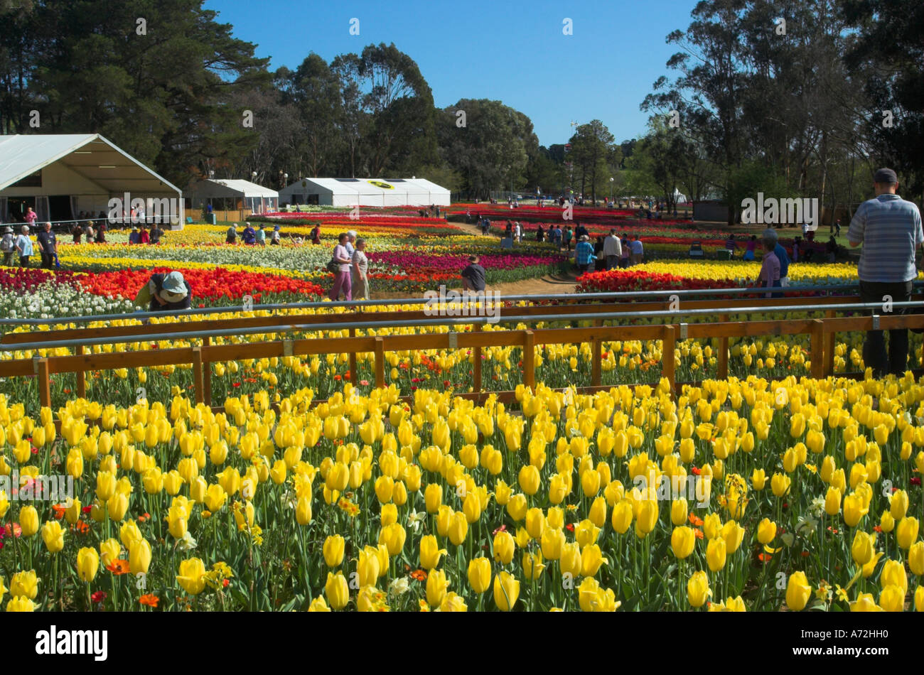 Floriade flower festival in Canberra Australia Stock Photo 6687439 Alamy