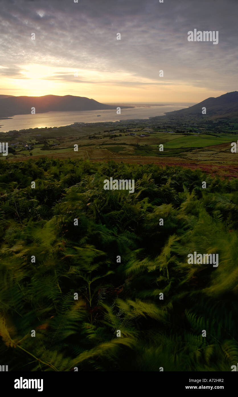 Carlingford Lough with the Mourne Mountains viewed at sunrise from the Cooley Mountains Co Louth Ireland Stock Photo