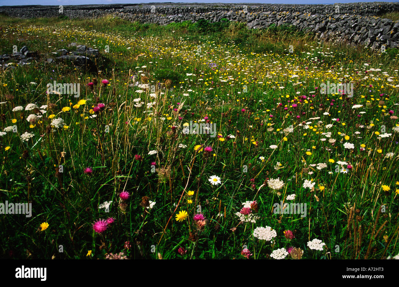 Walls At Inisheer High Resolution Stock Photography and Images - Alamy