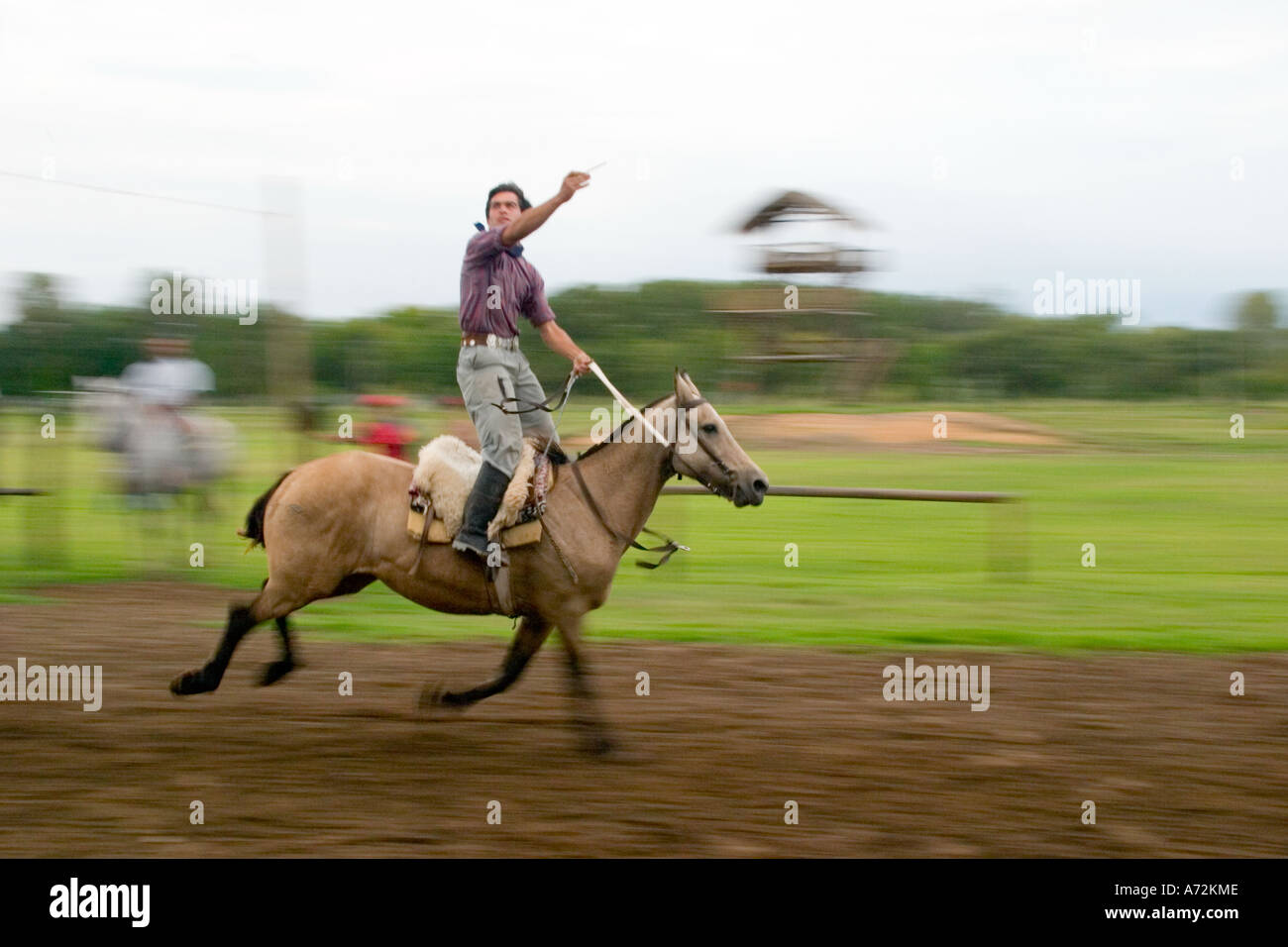 Gauchos demonstrate tradition horsemanship skills threading needle through a small hoop whilst riding at speed at Gaucho Ranch Stock Photo