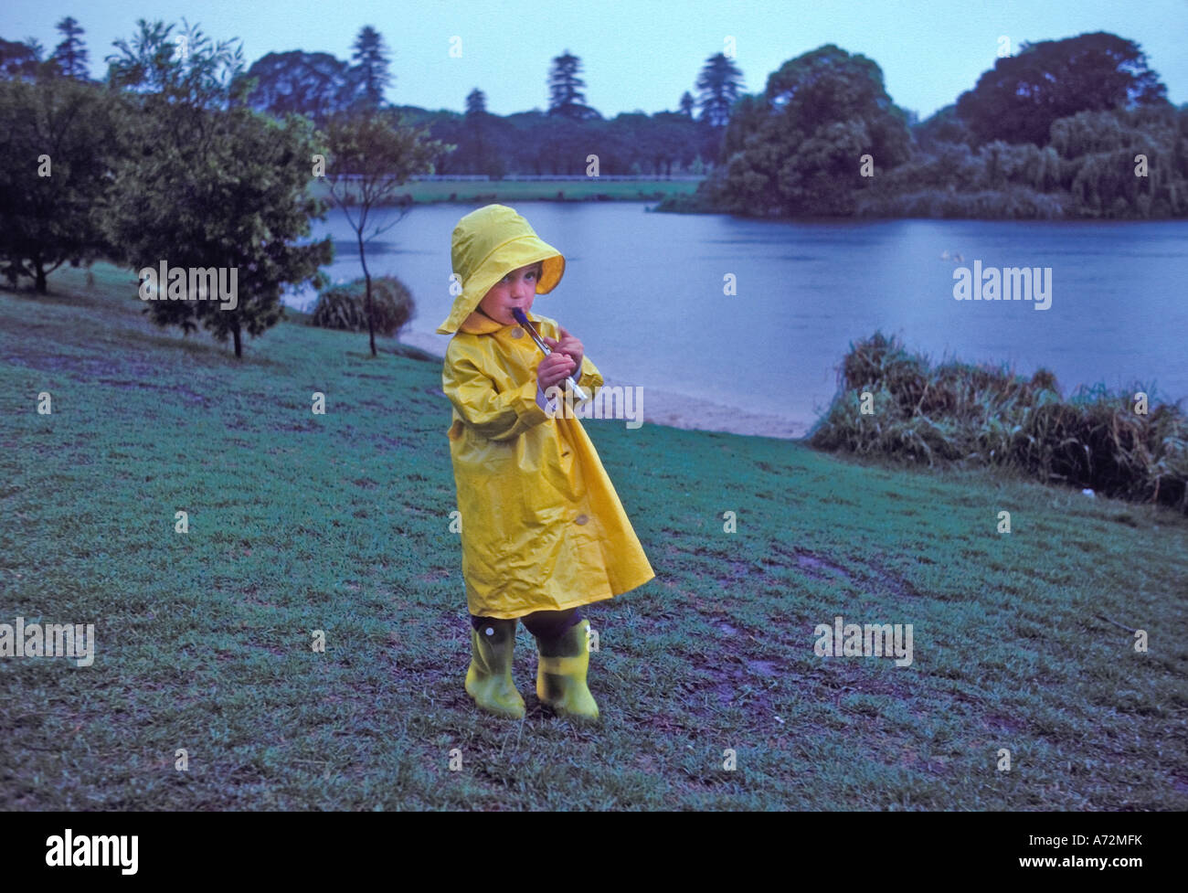 Young girl wearing a yellow raincoat, playing a tin whistle in the rain  while walking in the park. Stock Photo