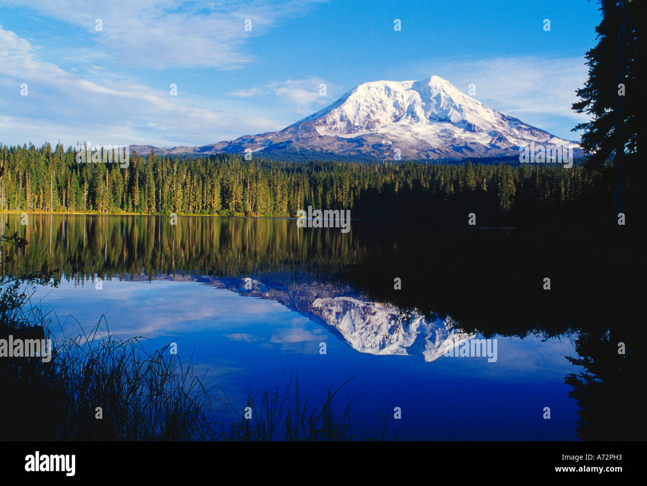 Takhlakh Lake Mount Adams reflection Gifford Pinchot National Forest ...