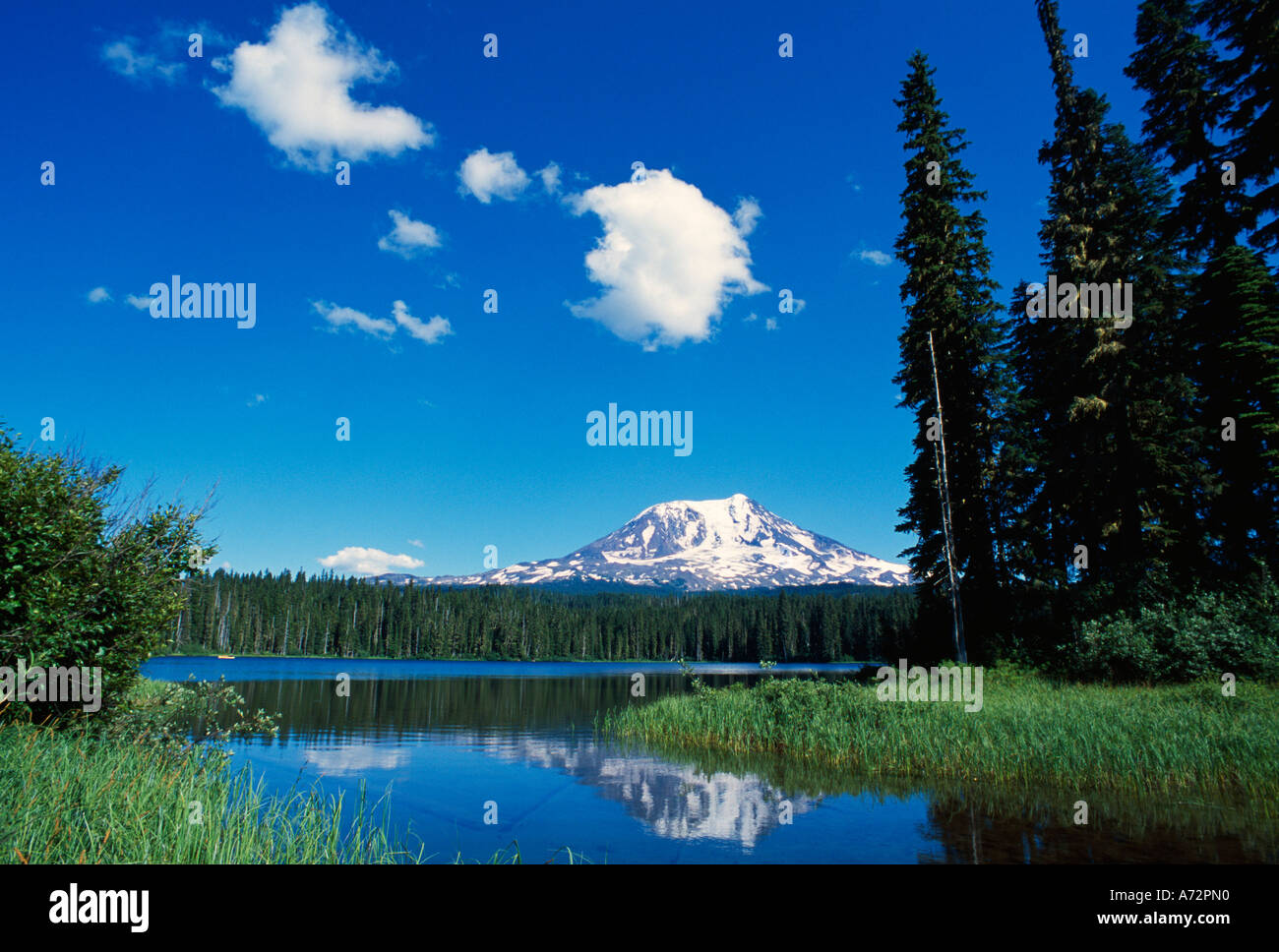 Takhlakh Lake Mount Adams Gifford Pinchot National Forest Stock Photo ...