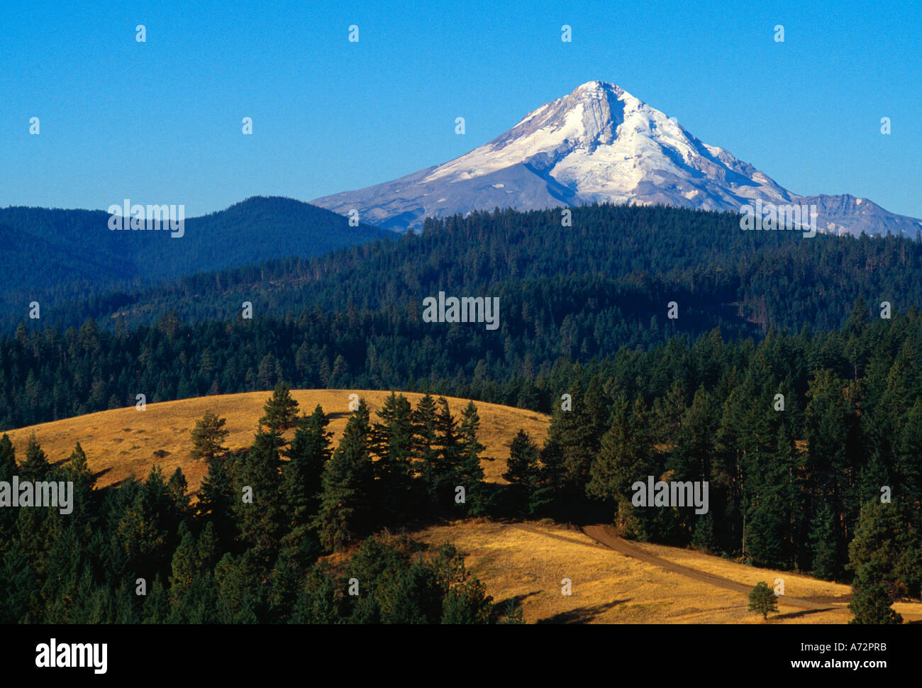 View of Mount Hood, Mount Hood National Forest, Oregon, USA Stock Photo ...