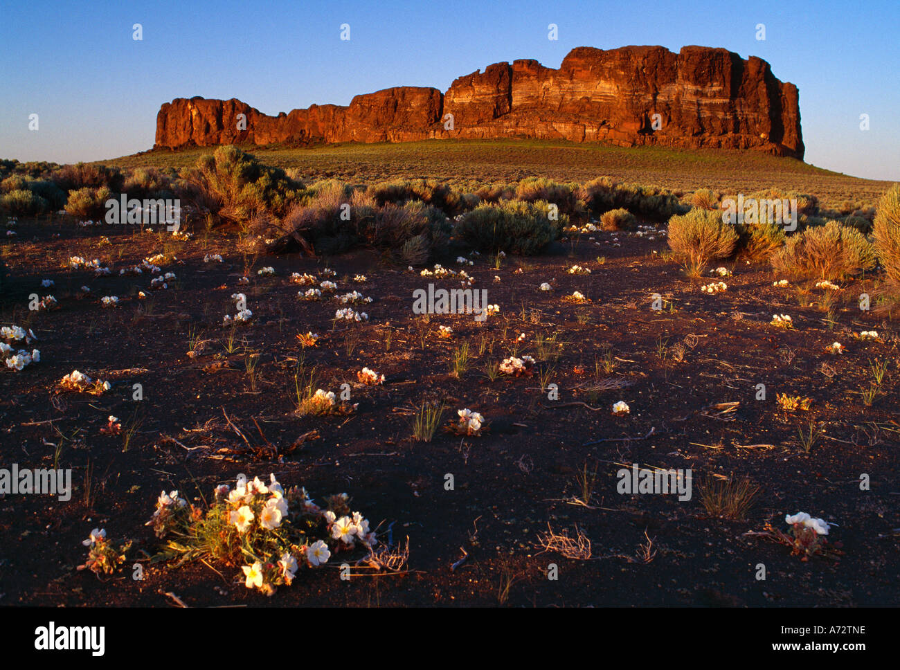 Fort Rock Fort Rock State Park Stock Photo Alamy