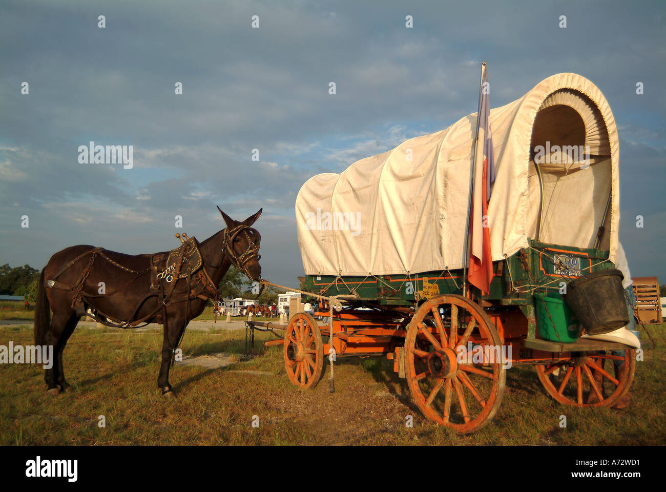 Wagon and donkey Stock Photo - Alamy