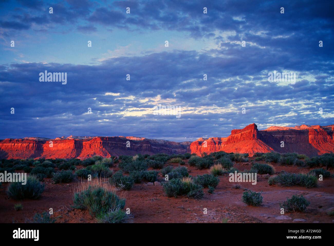 Red rock desert cliffs Stock Photo Alamy