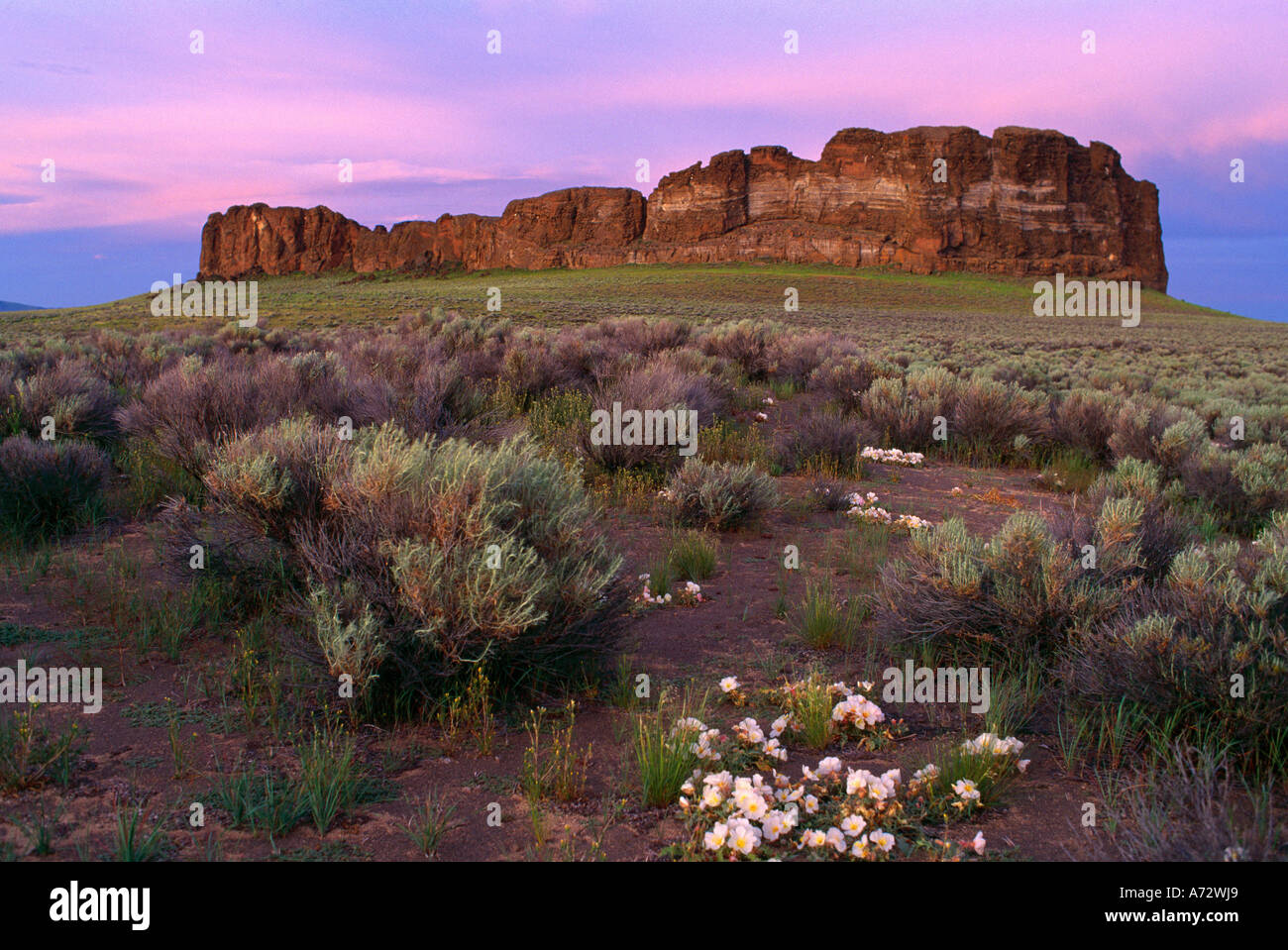Fort rock state park oregon hires stock photography and images Alamy