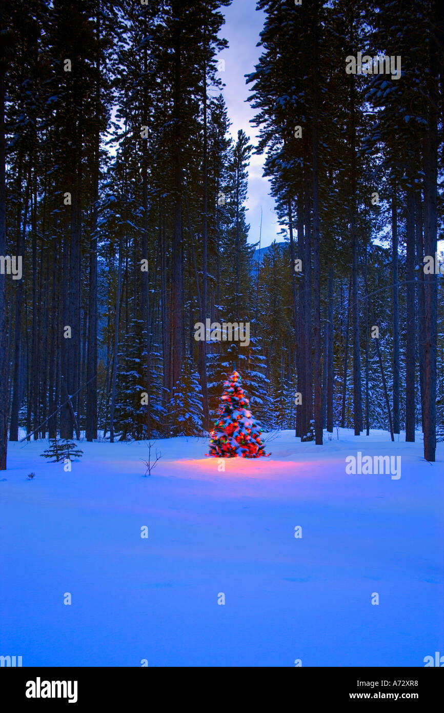 Illuminated copy hi-res stock photography and images - Alamy