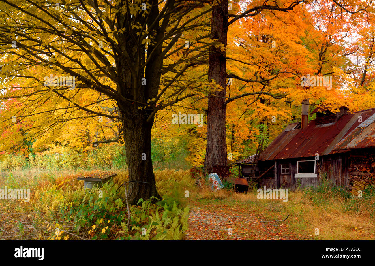 Maple sugar house in fall Vermont USA Stock Photo Alamy