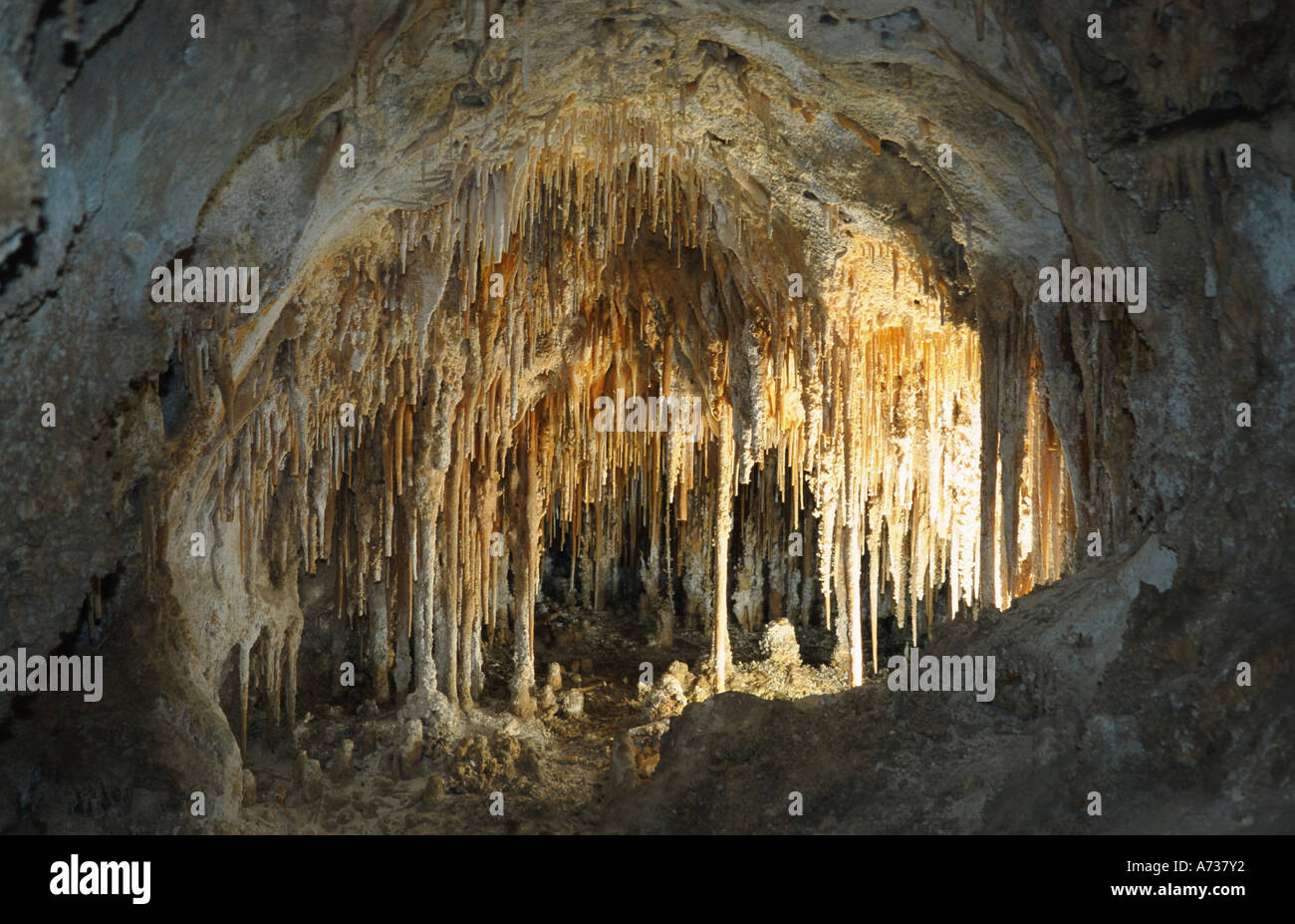 stalagtites and stalagmites in stalagtite cave, USA, New Mexico, Carlsbad Caverns NP Stalaktiten