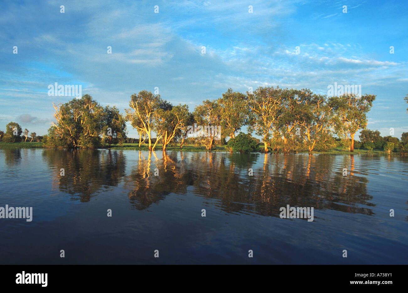 Yellow Water, billabong of the Kakadu Nationalpark, Australia, Northern ...