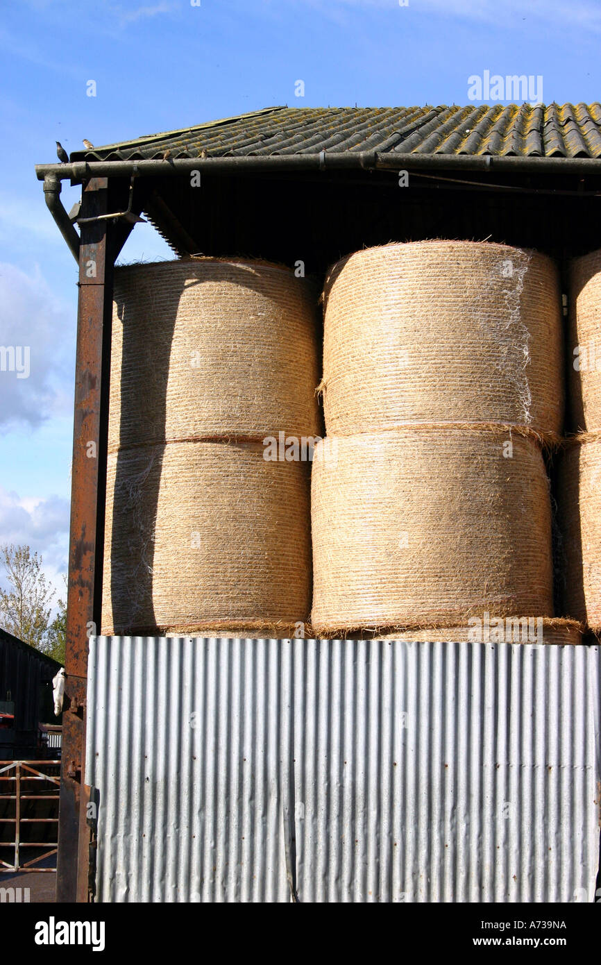 Hay bales stored in barn Stock Photo Alamy
