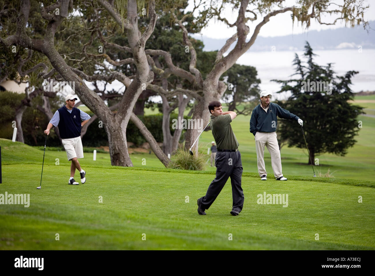 Pebble Beach Golf Course at Monterey near Carmel California USA Stock Pebble Beach Golf Course at Monterey near Carmel California USA Stock
