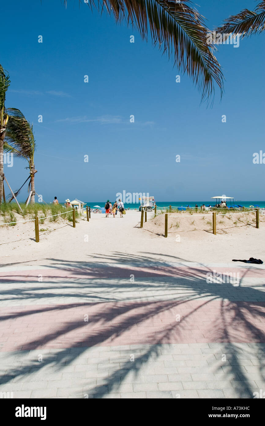 Palm tree shadows Stock Photo - Alamy