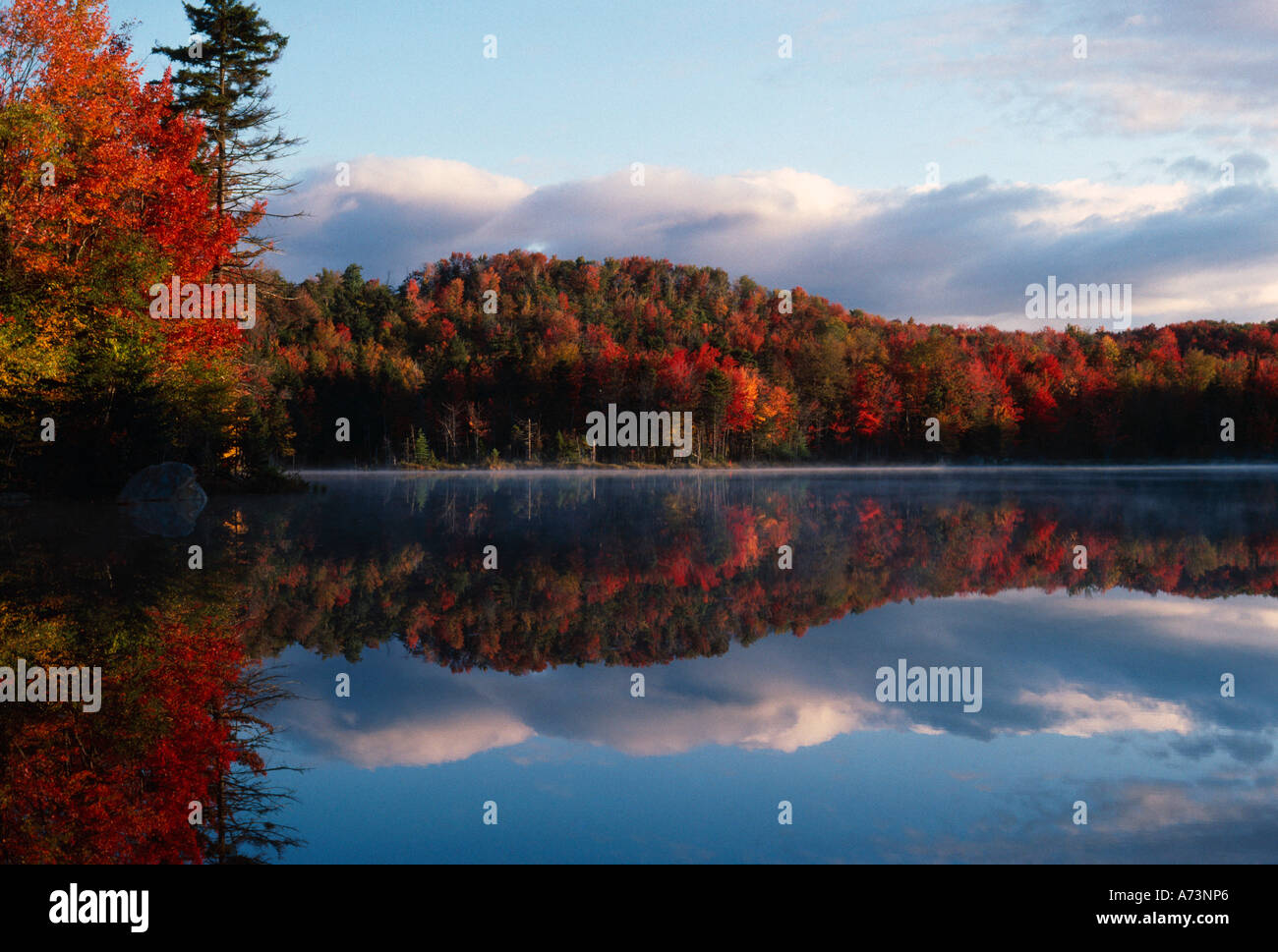 Autumn reflection on lake Stock Photo - Alamy