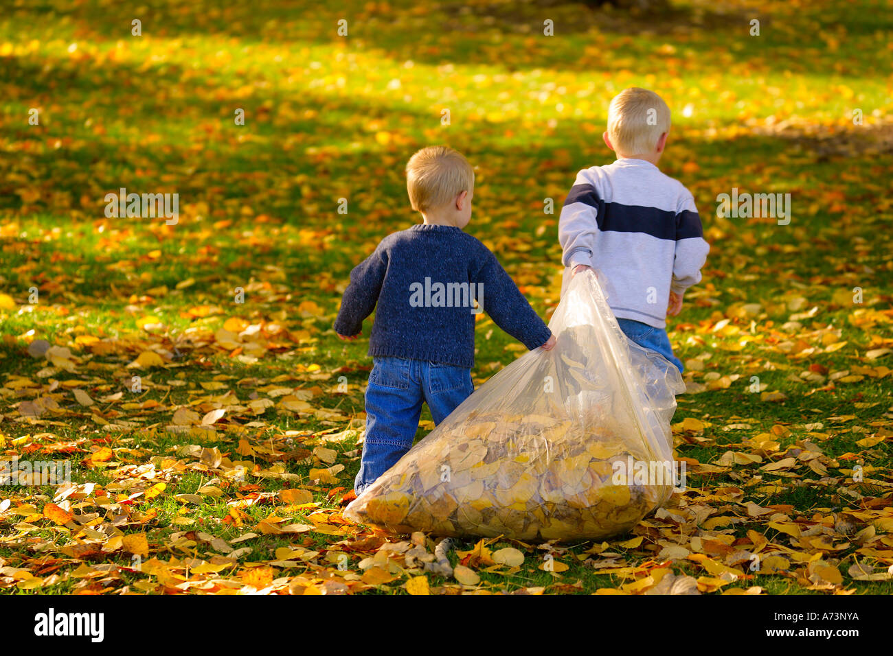 Two Boys Dragging Bag Of Leaves Stock Photo Alamy