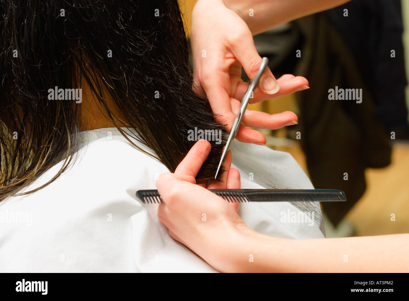 Getting a hair cut Stock Photo Alamy