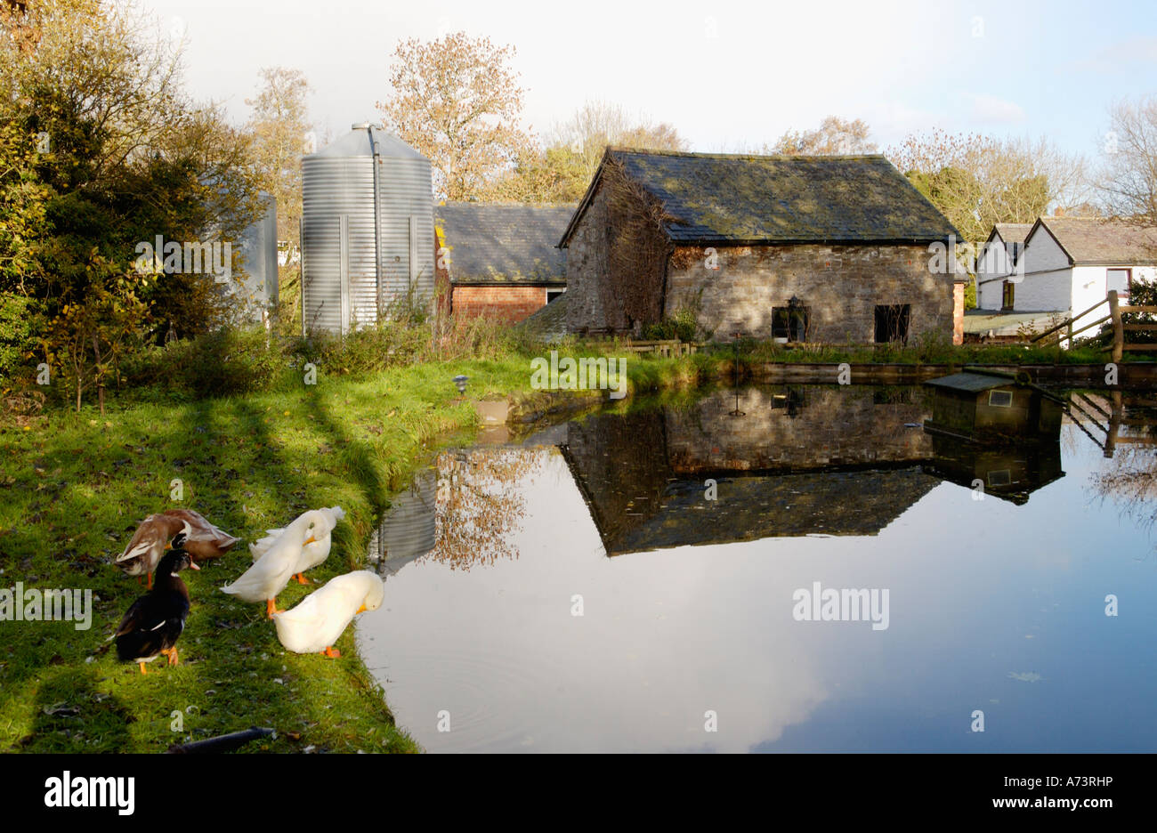 Churchstoke hires stock photography and images Alamy
